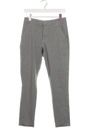 Damenhose Hound, Größe XL, Farbe Grau, Preis € 13,49