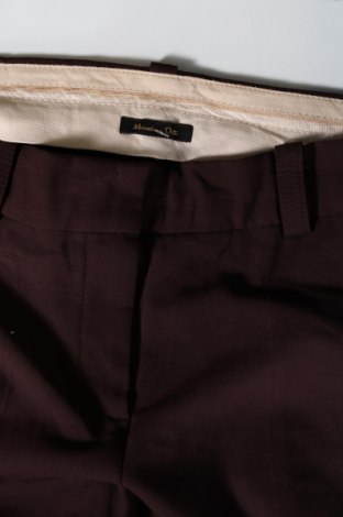 Damenhose Massimo Dutti, Größe S, Farbe Lila, Preis 19,99 €