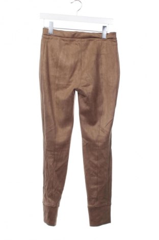 Damenhose Opus, Größe XS, Farbe Braun, Preis € 17,99