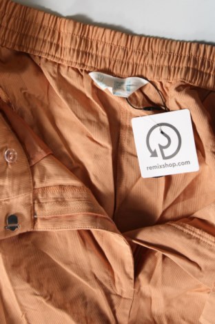 Damenhose Primark, Größe L, Farbe Orange, Preis € 14,99