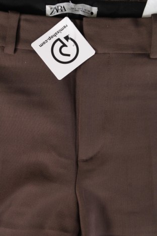 Damenhose Zara, Größe XL, Farbe Grün, Preis € 18,99