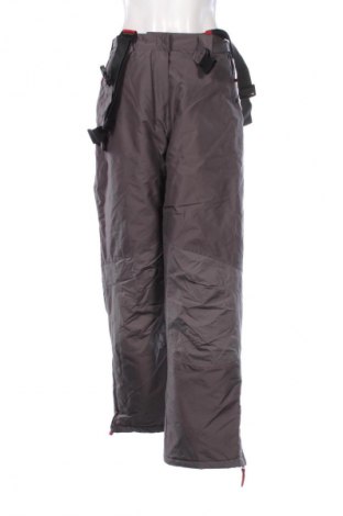 Damenhose für Wintersport, Größe XL, Farbe Grau, Preis 67,99 €