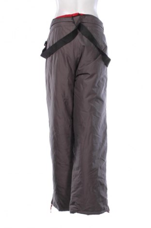 Damenhose für Wintersport, Größe XL, Farbe Grau, Preis 67,99 €