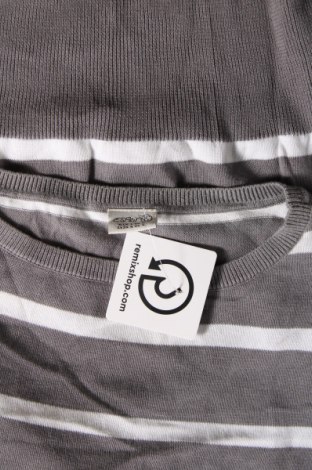 Damenpullover Esprit, Größe XS, Farbe Grau, Preis € 5,99