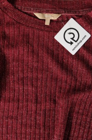 Damenpullover Next, Größe S, Farbe Rot, Preis 11,99 €