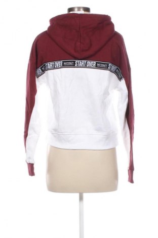 Damen Sweatshirt Fb Sister, Größe XXS, Farbe Mehrfarbig, Preis 11,99 €