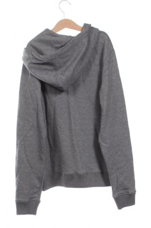 Damen Sweatshirt IKKS, Größe XS, Farbe Grau, Preis 32,49 €