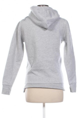 Damen Sweatshirt Pull&Bear, Größe XS, Farbe Grau, Preis 8,99 €