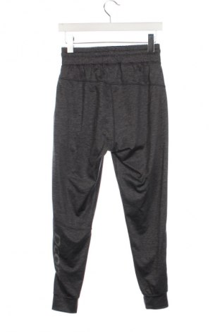 Damen Sporthose, Größe XS, Farbe Grau, Preis € 9,49