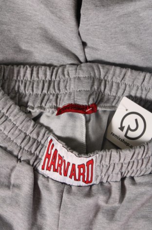 Pantaloni trening de femei Harvard, Mărime L, Culoare Gri, Preț 87,00 Lei