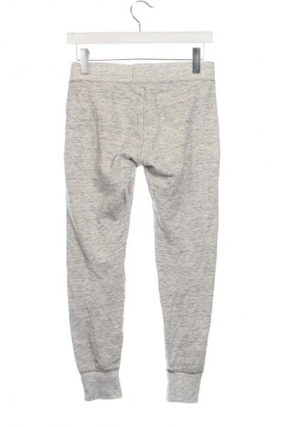 Damen Sporthose Hollister, Größe S, Farbe Grau, Preis € 23,99