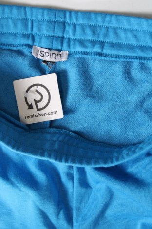 Damen Sporthose True Spirit, Größe XL, Farbe Blau, Preis € 8,49