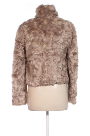 Damenjacke CoolCat, Größe S, Farbe Beige, Preis € 18,99