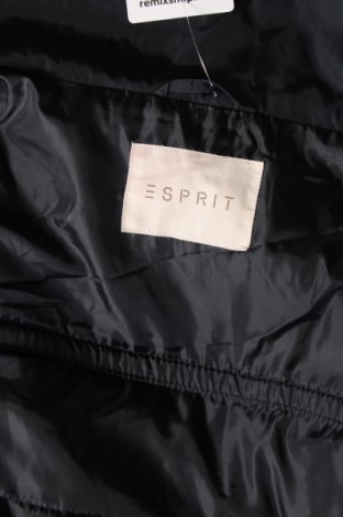 Γυναικείο μπουφάν Esprit, Μέγεθος XL, Χρώμα Μπλέ, Τιμή 13,99 €