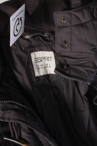 Damenjacke Esprit, Größe M, Farbe Braun, Preis 21,99 €