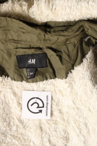 Damenjacke H&M, Größe L, Farbe Grün, Preis € 20,99