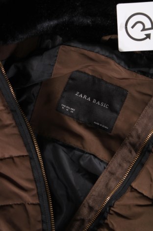 Damenjacke Zara, Größe M, Farbe Grün, Preis € 12,49