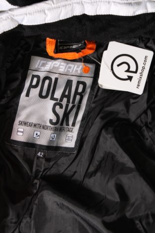 Damenjacke für Wintersports Icepeak, Größe L, Farbe Mehrfarbig, Preis € 63,49