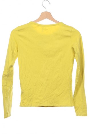 Kinder Shirt Jbc, Größe 15-18y/ 170-176 cm, Farbe Gelb, Preis € 3,99