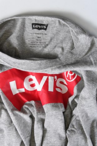 Παιδική μπλούζα Levi's, Μέγεθος 15-18y/ 170-176 εκ., Χρώμα Γκρί, Τιμή 8,99 €