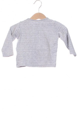 Kinder Shirt Lupilu, Größe 3-6m/ 62-68 cm, Farbe Grau, Preis € 3,99