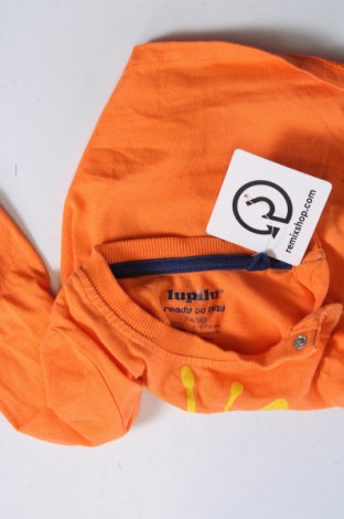 Kinder Shirt Lupilu, Größe 9-12m/ 74-80 cm, Farbe Orange, Preis 3,99 €