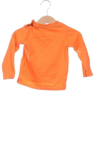 Kinder Shirt Lupilu, Größe 9-12m/ 74-80 cm, Farbe Orange, Preis € 3,99