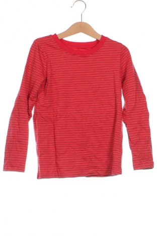 Kinder Shirt Lupilu, Größe 6-7y/ 122-128 cm, Farbe Mehrfarbig, Preis € 5,99