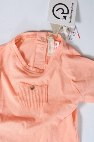 Детска блуза Mango, Размер 9-12m/ 74-80 см, Цвят Розов, Цена 7,99 лв.