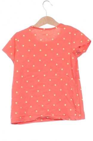 Kinder T-Shirt Lupilu, Größe 4-5y/ 110-116 cm, Farbe Orange, Preis € 3,99