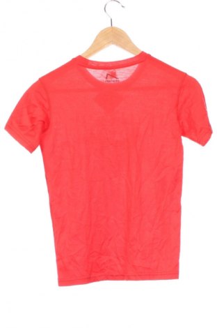 Kinder T-Shirt Norheim, Größe 9-12m/ 74-80 cm, Farbe Rot, Preis € 13,99