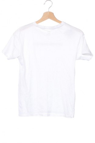 Dziecięcy T-shirt Sinsay, Rozmiar 10-11y/ 146-152 cm, Kolor Biały, Cena 16,99 zł