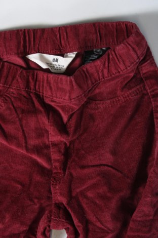 Kinder Cordhose H&M, Größe 5-6y/ 116-122 cm, Farbe Rot, Preis € 14,99