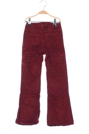 Kinder Cordhose H&M, Größe 5-6y/ 116-122 cm, Farbe Rot, Preis € 14,99