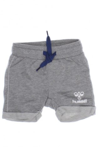 Pantaloni scurți pentru copii Hummel, Mărime 3-6m/ 62-68 cm, Culoare Gri, Preț 39,19 Lei