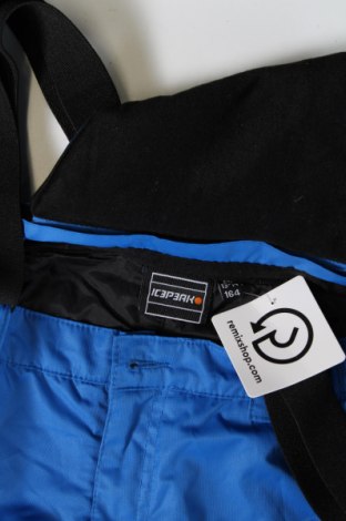 Pantaloni pentru copii pentru sporturi de iarnă Icepeak, Mărime 13-14y/ 164-168 cm, Culoare Albastru, Preț 57,99 Lei