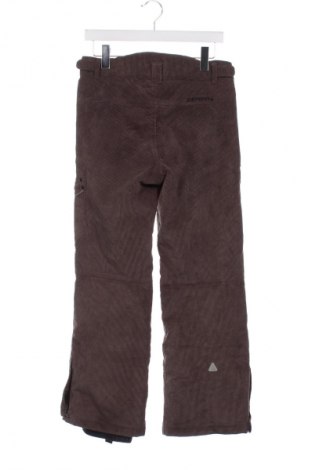 Kinderhose für Wintersport Icepeak, Größe 11-12y/ 152-158 cm, Farbe Braun, Preis € 26,99