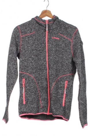 Kinder Sweatshirts Icepeak, Größe 15-18y/ 170-176 cm, Farbe Grau, Preis 8,49 €