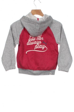 Kinder Sweatshirts PUMA, Größe 18-24m/ 86-98 cm, Farbe Mehrfarbig, Preis 20,49 €