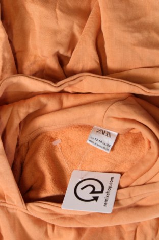 Kinder Sweatshirts Zara, Größe 12-13y/ 158-164 cm, Farbe Orange, Preis € 6,49