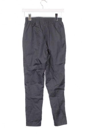 Kinder Sporthose BCG, Größe 13-14y/ 164-168 cm, Farbe Grau, Preis 8,49 €