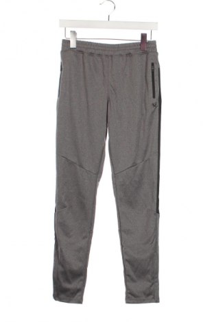 Kinder Sporthose SOC, Größe 12-13y/ 158-164 cm, Farbe Grau, Preis € 6,99