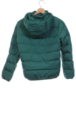 Detská bunda  Uniqlo, Veľkosť 11-12y/ 152-158 cm, Farba Zelená, Cena  40,00 €