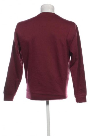 Herren Shirt, Größe L, Farbe Rot, Preis 12,99 €