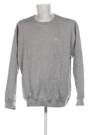 Herren Shirt Biaggini, Größe 3XL, Farbe Grau, Preis € 7,99