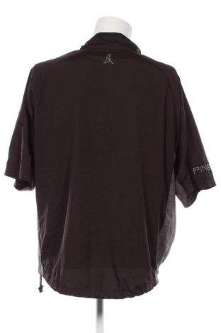 Herren Shirt Ping, Größe L, Farbe Schwarz, Preis 14,99 €