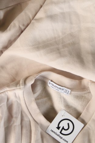 Herren Shirt Stradivarius, Größe M, Farbe Beige, Preis € 6,99