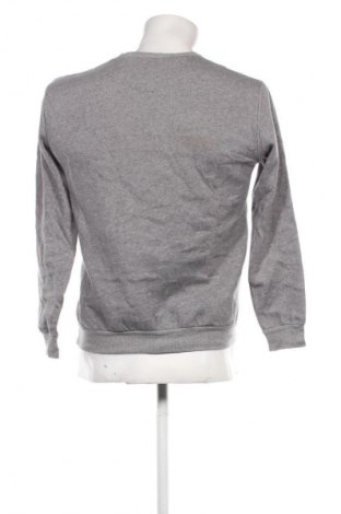 Herren Shirt Zara Man, Größe S, Farbe Grau, Preis € 6,99