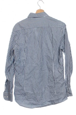 Herrenhemd Massimo Dutti, Größe M, Farbe Mehrfarbig, Preis 13,99 €