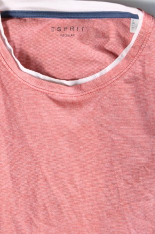 Herren T-Shirt Esprit, Größe L, Farbe Rosa, Preis € 15,00